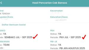 20251023_Cek-Bansos-2025.jpg