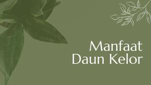 20251023_Manfaat-Daun-Kelor.jpg