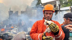 20251025_Kebakaran-di-Ilir-Selamatkan-Kucing-BPBD-Balikpapan.jpg