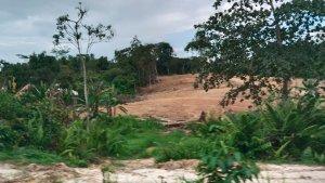 27062025-Pematangan-lahan-di-kawasan-perbukitan-Samarinda.jpg