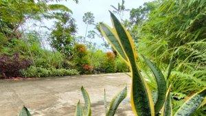 28-januari-gala-puncak.jpg