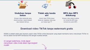 Apa-itu-SSSTikTok-atau-SSSTikio-9223.jpg