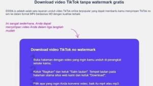 Download-video-TikTok-20123.jpg
