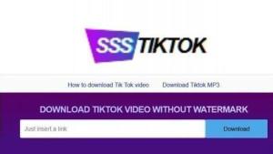 Download-video-TikTok-tanpa-watermark-di-SSSTikTok-26223.jpg