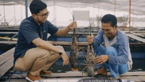 Keberhasilan-Pupuk-Kaltim-dalam-pengembangan-program-Creating-Shared-Value-Keramba-Jaring-Apung.jpg