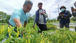 PEMKOT-BERDAYAKAN-PROGRAM-MBG.jpg
