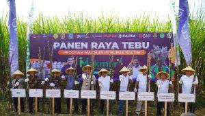 Panen-raya-tebu-di-Sendangtirto-Berbah-Sleman-Rabu-1052023-yang-digelar-Pupuk-Kaltim.jpg