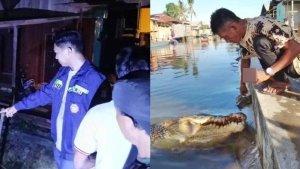 Polisi-Datangi-TKP-dan-Pak-Ambo-Beri-Makan-Buaya-Riska.jpg