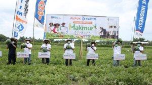 Pupuk-Kaltim-menempati-posisi-ketiga.jpg
