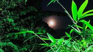 bulan-purnama-terbuka-hijau-gala-puncak-kaltim.jpg