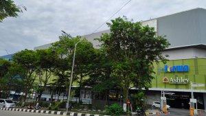 cuaca-akan-kembali-hujan-ini.jpg