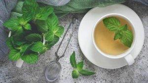 ilustrasi-teh-daun-mint.jpg