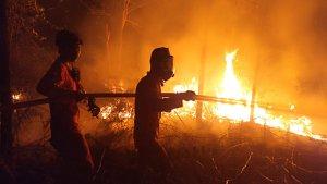 kebakaran-hutan1.jpg