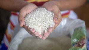 kecamatan-kaubun-kabupaten-kutai-timur-surplus-beras-pemerintah-daerah-mengimbau-asn.jpg