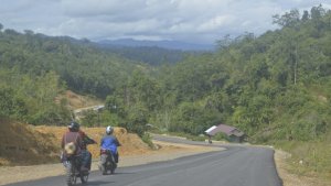 kondisi-jalan-raya-di-daerah-ujoh-bilang-kecamatan-long-bagun_20181031_150710.jpg