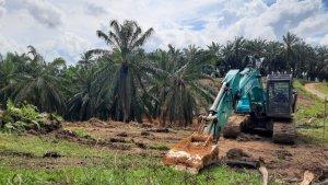 lahan-sawit-di-desa-kendarom-kecamatan-kuaro-kabupaten-paser.jpg