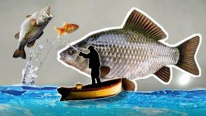 nelayan-cari-ikan-di-laut.jpg