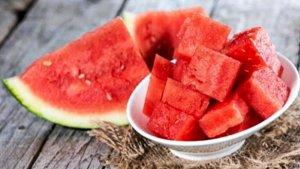 net-buah-semangka.jpg
