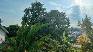 pada-sore-gala-puncak-senin.jpg