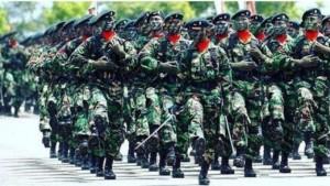 tentara-nasional-indonesia-07.jpg