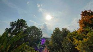 terbuka-hijau-gala-puncak-kaltim.jpg