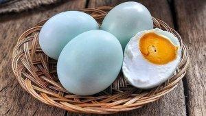 tribunjualbelicom-telur-bebek.jpg