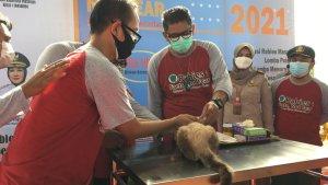 vaksinasi-hewan-yang-digelar-dkp3-bontang-dalam-rangka-peringatan-world-rabies.jpg