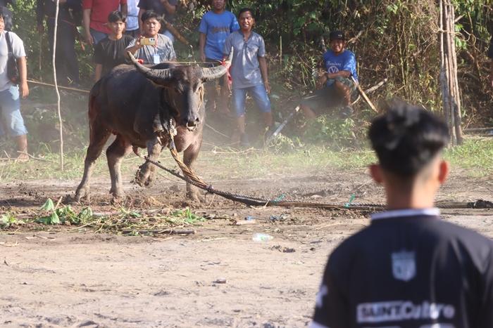 03112025_Upacara_Adat_di_Kubar__4_JPG.jpg