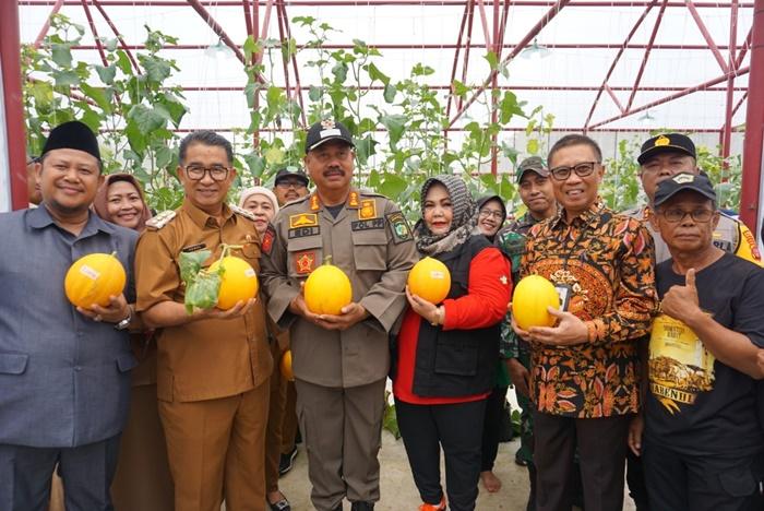140224_panen_melon_di_greenhouse_WPS_Tenggarong.jpg
