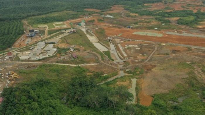 1664-Hektar-dari-Wilayah-IKN-Nusantara-Bakal-Diubah-Jadi-Hutan-Tropis-Hutan-Produksi-Diubah-Fungsi.jpg