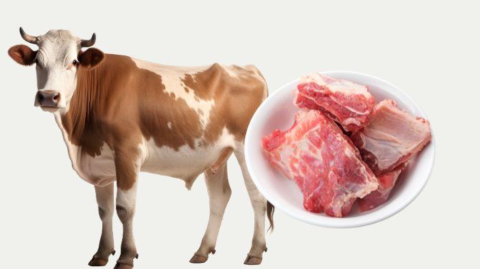 Cara Merebus Daging Sapi agar Cepat Empuk Tanpa Presto, Dijamin Hemat Waktu dan Gas