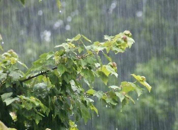 Prakiraan Cuaca 33 Kota di Indonesia Hari ini Rabu 27 Desember 2023, Jakarta Pusat Hujan Ringan