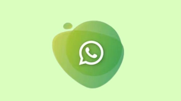 20230626_WhatsApp_Apa-Nama-Aplikasi-Sadap-WA-yang-Bisa-Disembunyikan.jpg