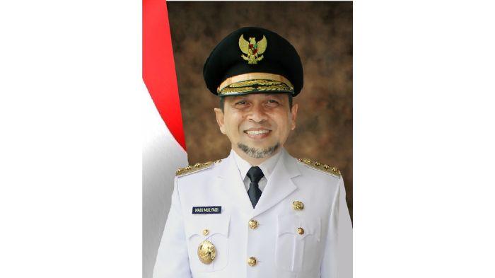 Biodata Hadi Mulyadi, Wakil Gubernur Kalimantan Timur Periode 2018-2023 Lengkap Riwayat Karir