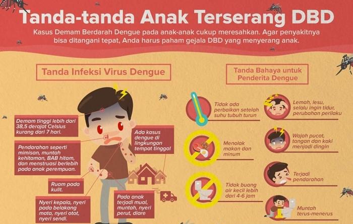 20230731_Demam-berdarah.jpg