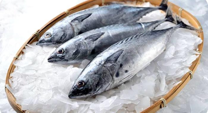 20230816_jenis-ikan.jpg