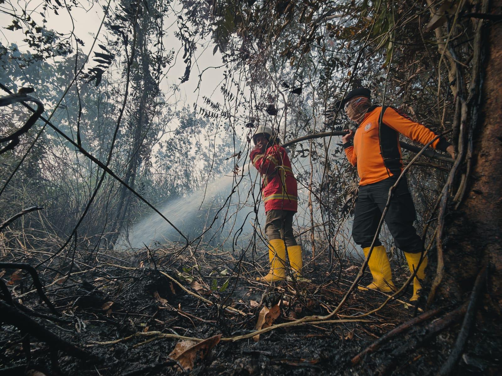 20231004-Kebakaran-Hutan-dan-Lahan-Karhutla.jpg