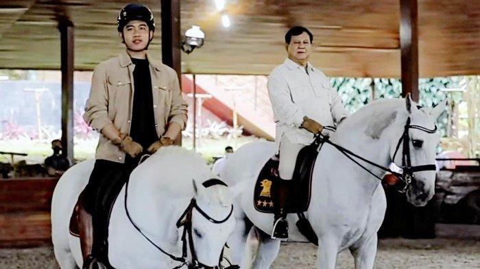 Beber Peran Gibran Pada Amnesti Hasto dan Abolisi Tom Lembong, Pakar: Wapres Jadi Ban Serep Prabowo