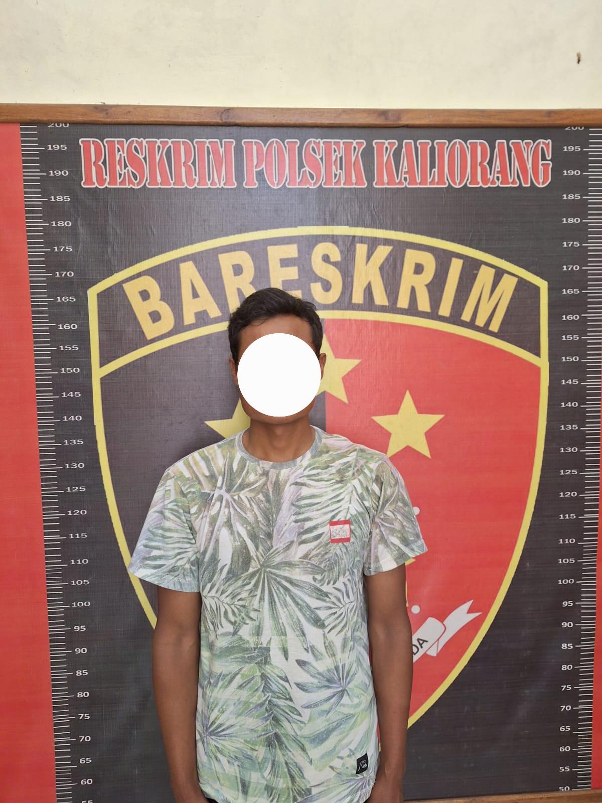 Polsek Kaliorang Kutim Tangkap Pelaku Pencurian 2 Ekor Sapi