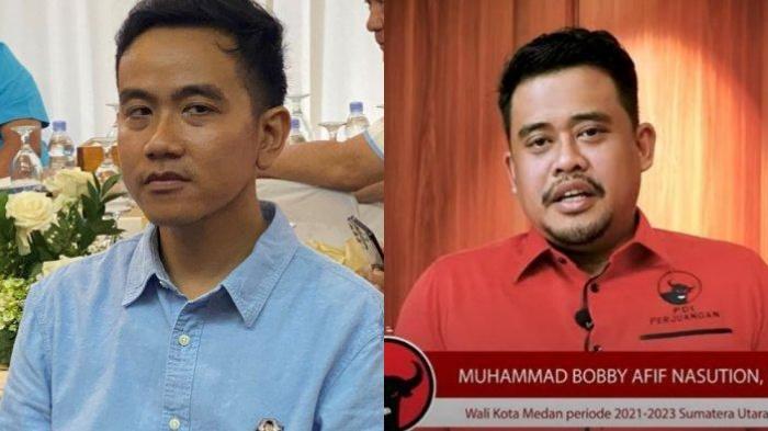Anak dan Mantu Jokowi Membelot, Sekjen PDIP Bantah Ada Beda Perlakuan pada Gibran dan Bobby Nasution