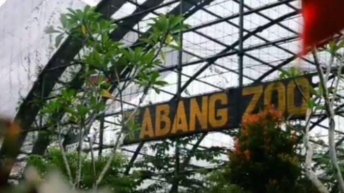 Tabang Zoo Kukar, Kebun Binatang yang Punya Banyak Koleksi Satwa, Tempat Buaya Riska Dipindahkan