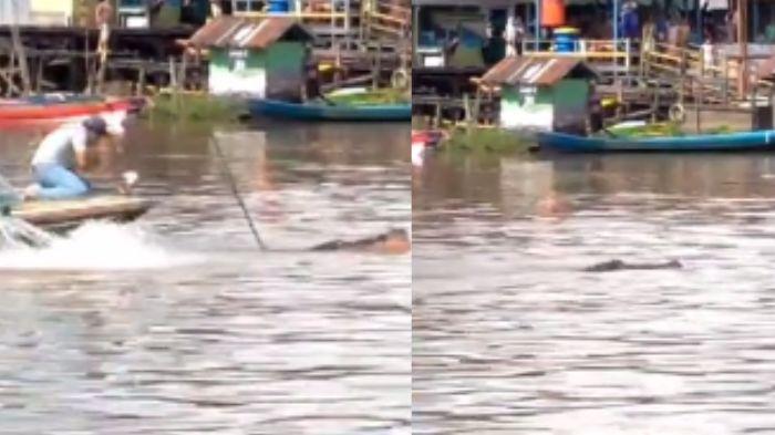 20231128_viral-buaya-di-Kalteng-saat-ditarik-warga-Pangkalan-Bun-ke-daratan.jpg