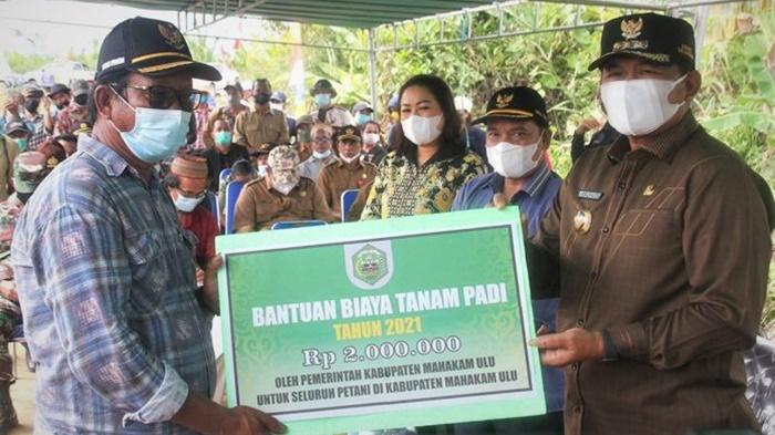 Anggaran Program BBT 2023 Capai Rp 8,349 M, Pemkab Mahulu Serahkan Bantuan kepada 4 Ribu Petani