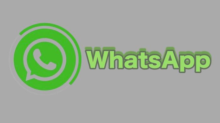 20231221_Aplikasi-Sadap-WA-dengan-Nomor-Saja-Cara-Menyadap-WhatsApp-untuk-Cek-WA.jpg