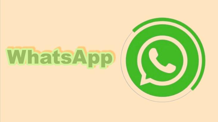 20240213_Cara-Sadap-WhatsApp-Pacar-Pakai-HP-Kita-Sendiri_cek-wa.jpg