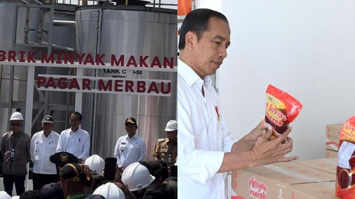 Apa Itu Minyak Makan Merah atau Minyak Merah? Pabriknya Diresmikan Jokowi, Beda dari Minyak Sawit