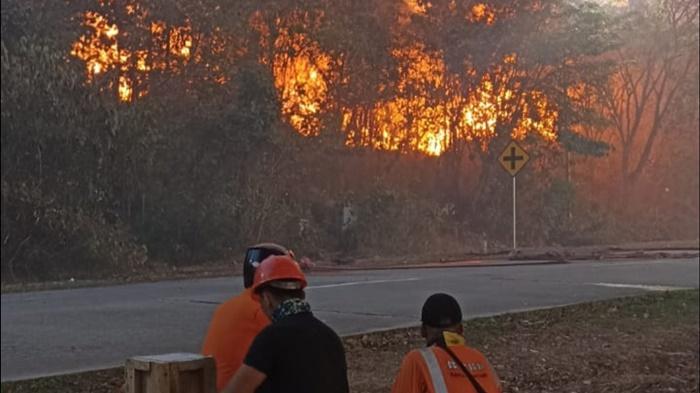 20240326_Lahan-sekitar-10-hektare-di-kawasan-Rumah-Sakit-PKT-terbakar.jpg