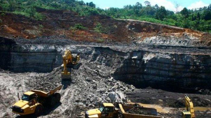 Terjawab Sudah Sikap Muhammadiyah Soal Tawaran Kelola Tambang, Bukan Menolak, Tapi Tak Selugas NU