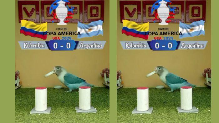 20240713_Burung-Vopo-ramal-juara-Copa-America-2024-Argentina-atau-Kolombia.jpg
