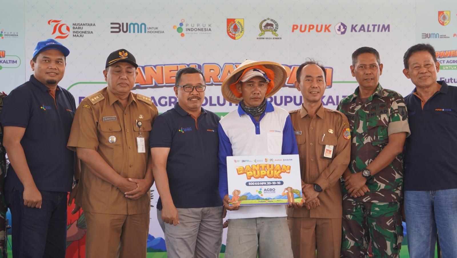 Pupuk Kaltim Sukses Tingkatkan Produktivitas Padi di Jember Melalui Program Agrosolution